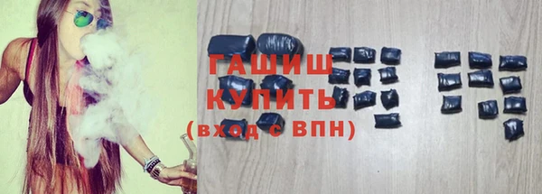 индика Алзамай