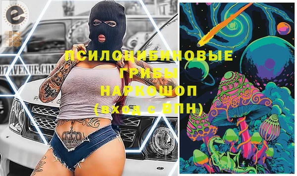 шишки Алексин