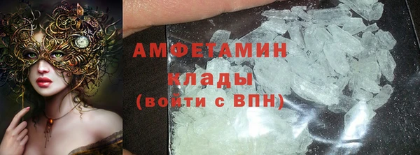 индика Алзамай