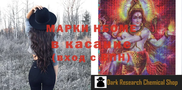 индика Алзамай