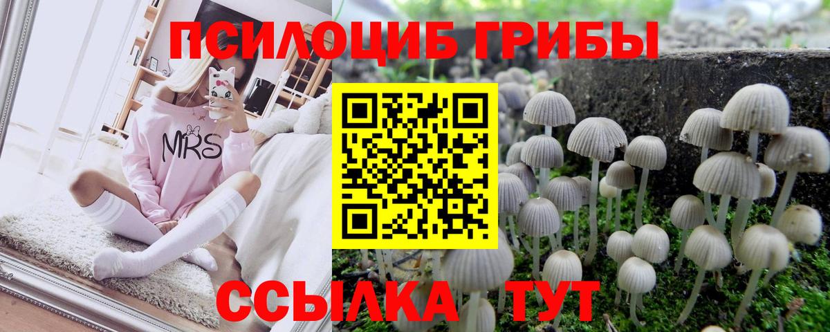 Галлюциногенные грибы ЛСД Бийск