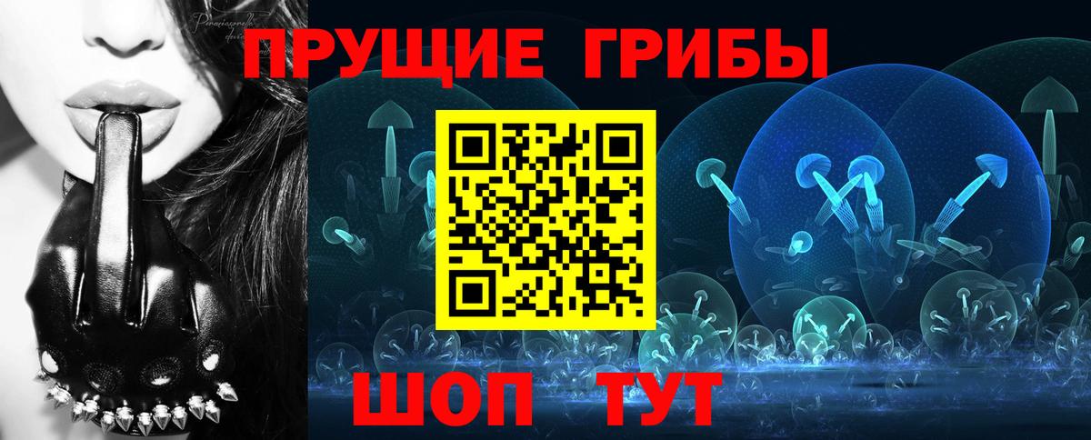Псилоцибиновые грибы Magic Shrooms  Вход с VPN  Бийск  даркнет сайт  Псилоцибиновые грибы GOLDEN TEACHER 
